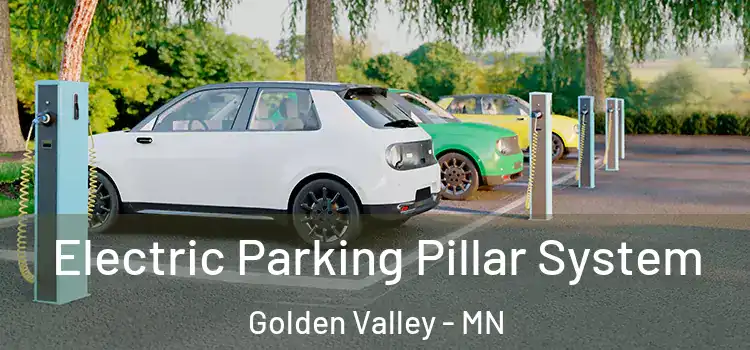  Electric Parking Pillar System Golden Valley - MN