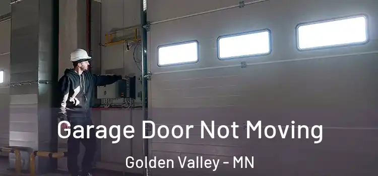  Garage Door Not Moving Golden Valley - MN