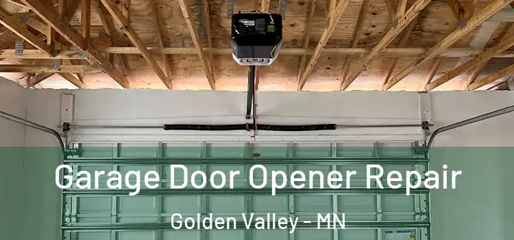  Garage Door Opener Repair Golden Valley - MN