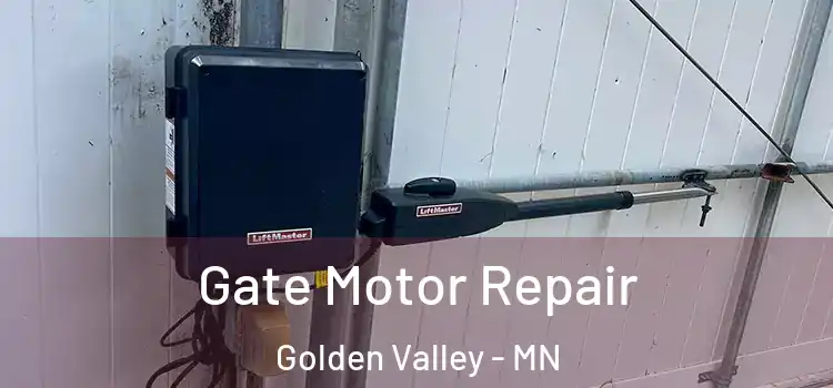 Gate Motor Repair Golden Valley - MN