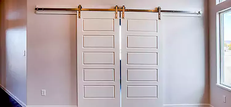 Glass Barn Door with Installation Hardware Kit Golden Valley