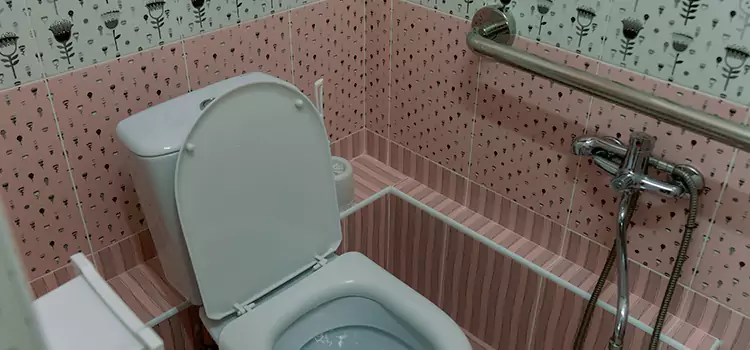 Meeting Diverse Needs With Accessible Restroom Solutions in Golden Valley, MN